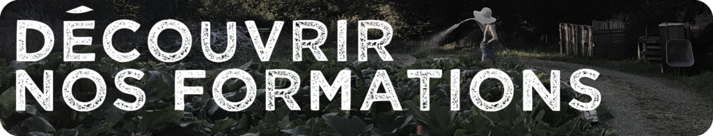 Découvrir nos formations